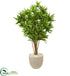 Silk Plants Direct Dracaena Artificial Tree - Pack of 1