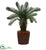 Silk Plants Direct Cycas Artificial Tree - Pack of 1