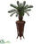 Silk Plants Direct Cycas Artificial Tree - Pack of 1