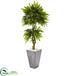Silk Plants Direct Mango Artificial Tree - Pack of 1