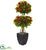 Silk Plants Direct Double Ball Bougainvillea Artificial Tree - Pack of 1