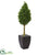 Silk Plants Direct Boxwood Cone Artificial Tree - Pack of 1
