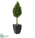 Silk Plants Direct Boxwood Cone Artificial Tree - Pack of 1