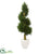 Silk Plants Direct Cypress Spiral Artificial Tree - Pack of 1