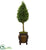 Silk Plants Direct Boxwood Cone Artificial Tree - Pack of 1