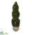 Silk Plants Direct Double Pond Cypress Spiral Artificial Tree - Pack of 1