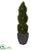 Silk Plants Direct Double Pond Cypress Spiral Topiary Artificial Tree - Pack of 1