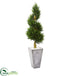 Silk Plants Direct Cypress Spiral Artificial Tree - Pack of 1