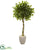 Silk Plants Direct Ficus Artificial Tree - Pack of 1