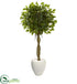 Silk Plants Direct Ficus Artificial Tree - Pack of 1