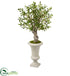 Silk Plants Direct Olive Artificial Tree - Pack of 1