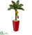 Silk Plants Direct Banana Artificial Tree - Pack of 1