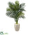 Silk Plants Direct Golden Cane Palm Artificial Tree - Pack of 1