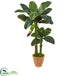 Silk Plants Direct Double Stalk Banana Artificial Tree - Pack of 1