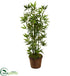 Silk Plants Direct Bamboo Tree - Pack of 1