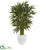 Silk Plants Direct Bamboo Tree - Pack of 1