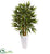 Silk Plants Direct Bamboo Tree - Pack of 1