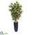 Silk Plants Direct Bamboo Tree - Pack of 1