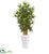 Silk Plants Direct Bamboo Tree - Pack of 1