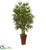 Silk Plants Direct Bamboo Tree - Pack of 1