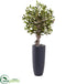 Silk Plants Direct Olive Tree - Pack of 1