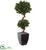 Silk Plants Direct Sweet Bay Artificial Double Topiary Tree - Pack of 1