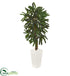 Silk Plants Direct Raphis Palm Artificial Tree - Pack of 1