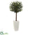 Silk Plants Direct Olive Topiary Artificial Tree - Pack of 1