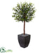 Silk Plants Direct Olive Topiary Artificial Tree - Pack of 1