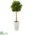 Silk Plants Direct Fiddle Leaf Artificial Tree - Pack of 1