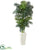 Silk Plants Direct Golden Cane Palm Artificial Tree - Pack of 1