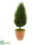 Silk Plants Direct Cypress Artificial Tree - Pack of 1