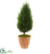 Silk Plants Direct Cypress Artificial Tree - Pack of 1