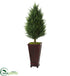 Silk Plants Direct Cypress Cone Artificial Tree - Pack of 1