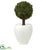 Silk Plants Direct Boxwood Topiary Artificial Tree - Pack of 1