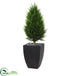 Silk Plants Direct Cypress Cone Artificial Topiary Tree - Pack of 1