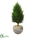 Silk Plants Direct Cypress Cone Artificial Tree - Pack of 1