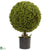 Silk Plants Direct Boxwood Ball Topiary - Pack of 1