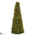 Silk Plants Direct Boxwood Cone - Pack of 1