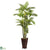 Silk Plants Direct Areca - Pack of 1