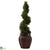 Silk Plants Direct Cedar Spiral - Pack of 1