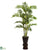 Silk Plants Direct Areca Tree - Pack of 1