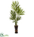 Silk Plants Direct Kentia Tree - Pack of 1
