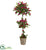 Silk Plants Direct Bougainvillea Tree - Pack of 1