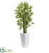 Silk Plants Direct Bamboo Tree - Pack of 1