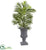Silk Plants Direct Areca Palm Tree - Pack of 1