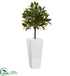 Silk Plants Direct Sweet Bay Tree - Pack of 1
