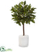 Silk Plants Direct Sweet Bay Tree - Pack of 1
