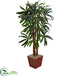 Silk Plants Direct Raphis Palm Tree - Pack of 1