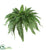 Silk Plants Direct Boston Fern - Pack of 1